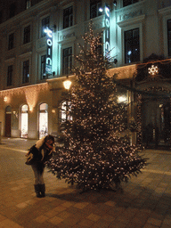 Miaomiao with christmas tree in Dorottya Utca street, by night