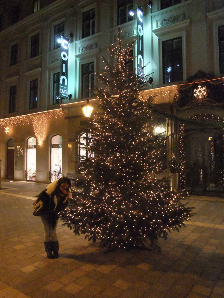 Miaomiao with christmas tree in Dorottya Utca street, by night