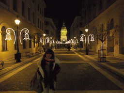 Miaomiao at the Zrinyi Utca street and Saint Stephen`s Basilica, by night