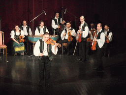 Musicians giving a concert in the Danube Palace