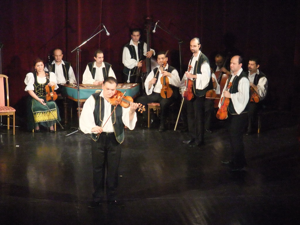 Musicians giving a concert in the Danube Palace