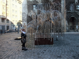 Miaomiao at the Memorial of the Hungarian Jewish Martyrs