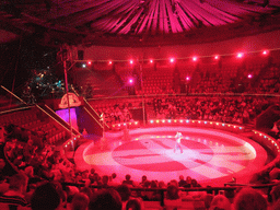 Clown in the Budapest Circus