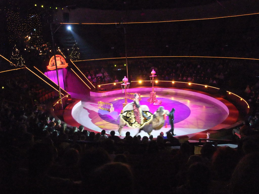 Camel and circus artists in the Budapest Circus