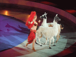 Llamas and circus artist in the Budapest Circus