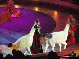 Llamas and circus artists in the Budapest Circus