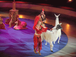 Llamas and circus artists in the Budapest Circus