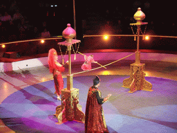 Monkey and circus artists in the Budapest Circus