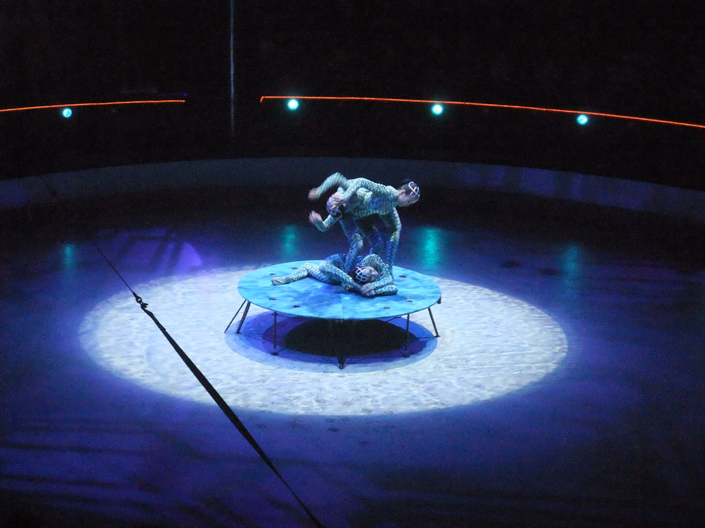 Gymnasts in the Budapest Circus