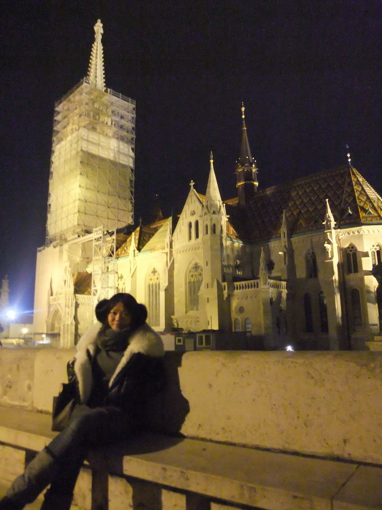 Miaomiao with the Matthias Church and the Plague Monument, by night