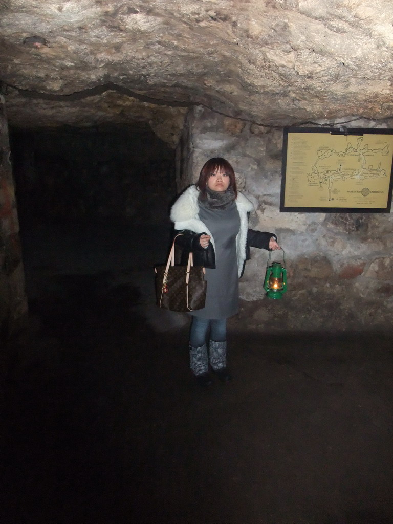 Miaomiao in the Labyrinth of Buda Castle
