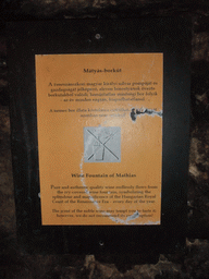 Explanation on the Wine Fountain of Mathias in the Labyrinth of Buda Castle