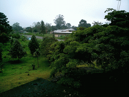 Street, house and trees, viewed from our hotel room