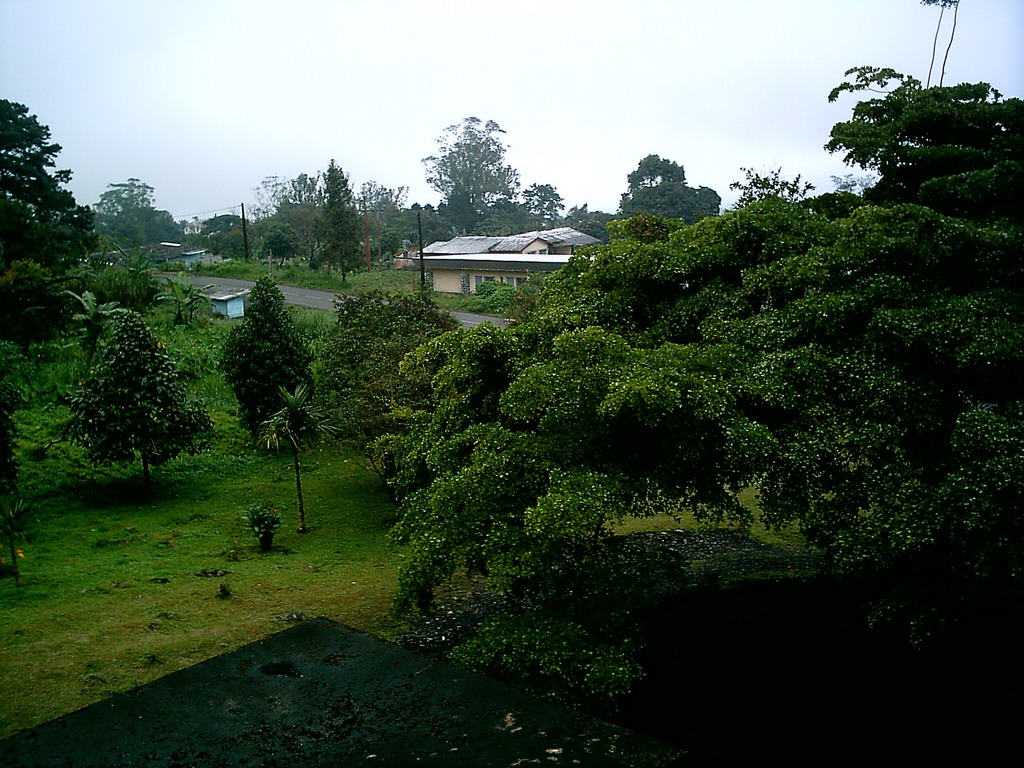 Street, house and trees, viewed from our hotel room