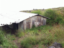 Shed at the slopes of Mount Cameroon