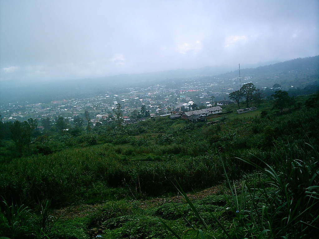 The northwest side of the city, viewed from the slopes of Mount Cameroon