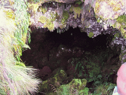 Cave at the slopes of Mount Cameroon