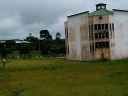 Grassland at the side of the University of Buea