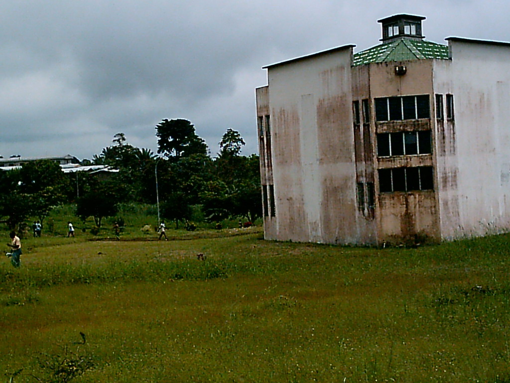Grassland at the side of the University of Buea