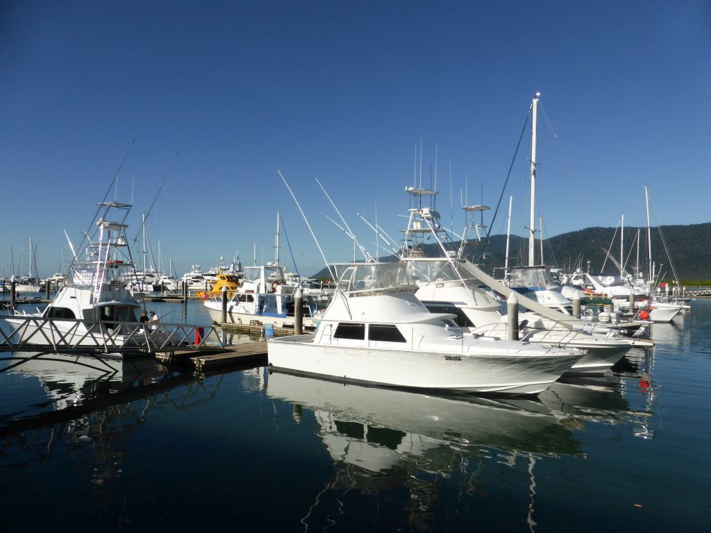 Boats at Finger D of the Marlin Marina