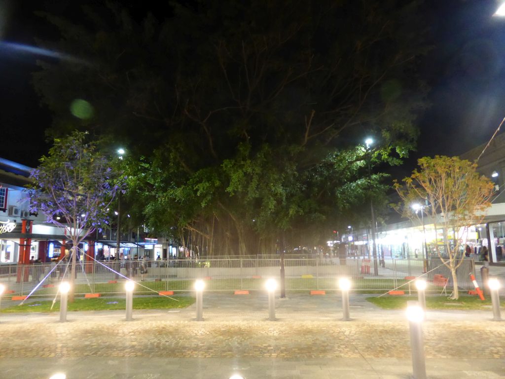 Crossing of Abbott Street and Shields Street, by night