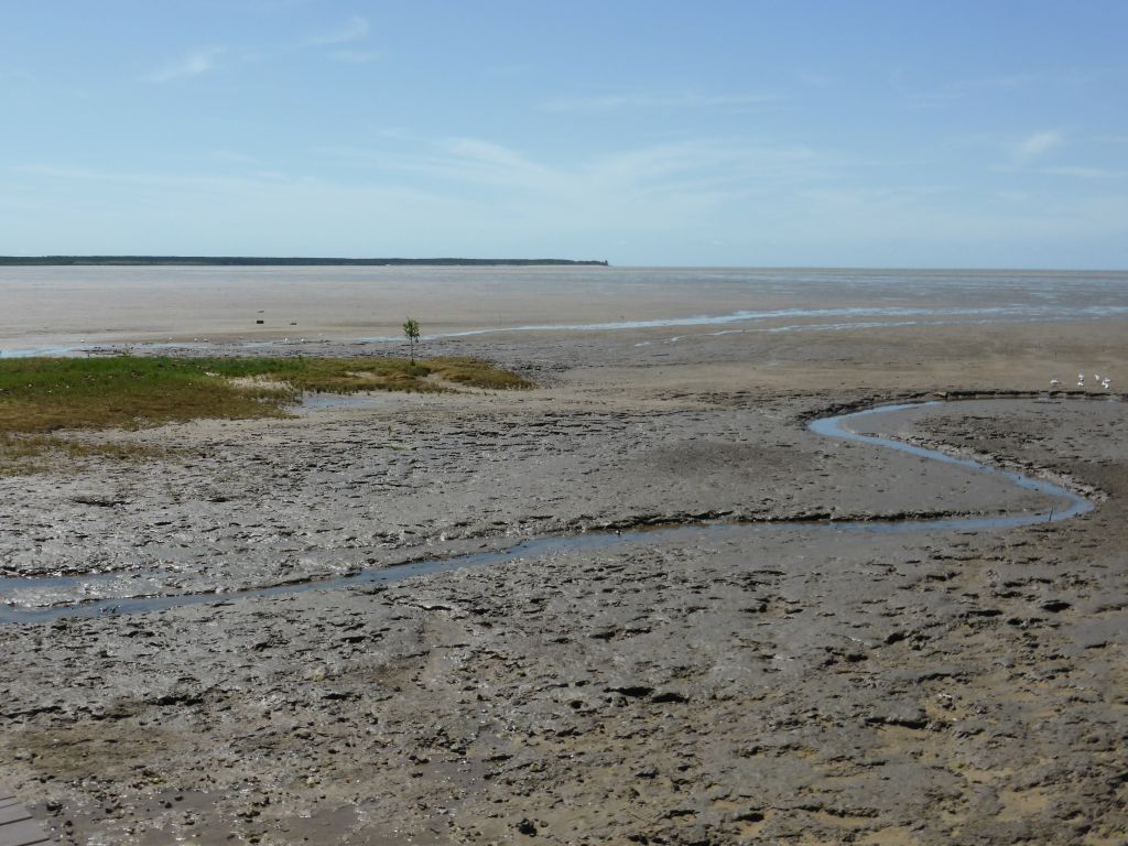 Trinity Bay during ebb, viewed from the Cairns Esplanade