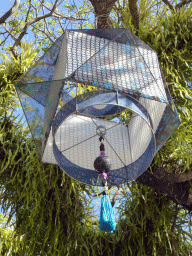 Paper lantern in a tree at the west side of the Cairns Esplanade Fogarty Park