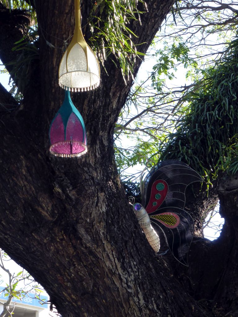 Paper lanterns in a tree at the west side of the Cairns Esplanade Fogarty Park