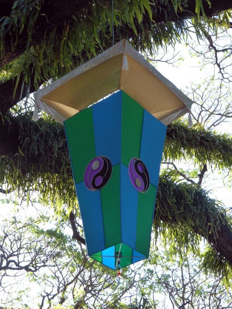 Paper lantern in a tree at the west side of the Cairns Esplanade Fogarty Park