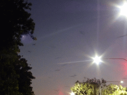 Bats flying over the crossing of Abbott Street and Aplin Street, by night