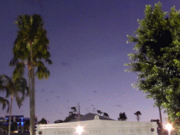 Bats flying over the Cairns City Council building, by night