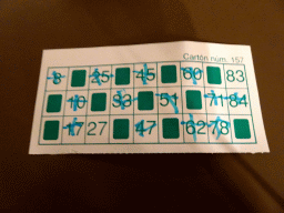 Bingo card at the Moana Bar at the Prinsotel Alba Hotel Apartamentos