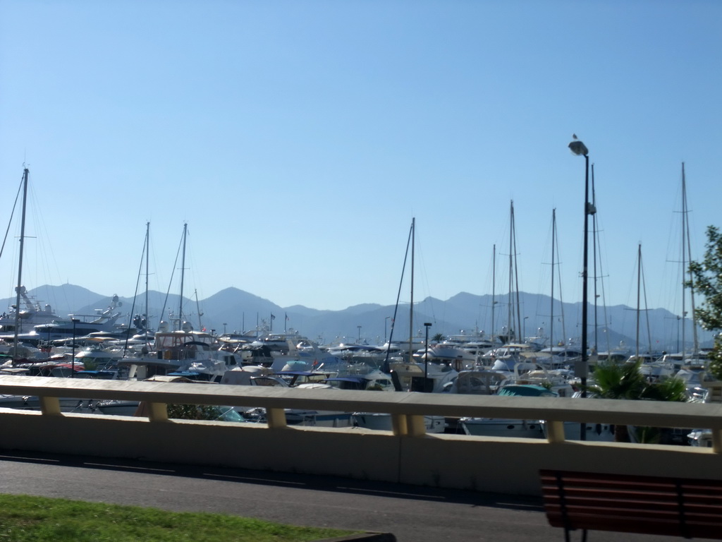 Boats in the Cannes harbour, viewed from the Cannes tourist train