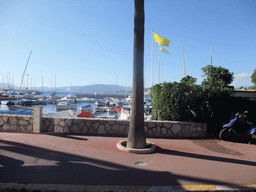 Boats in the Cannes harbour, viewed from the Cannes tourist train