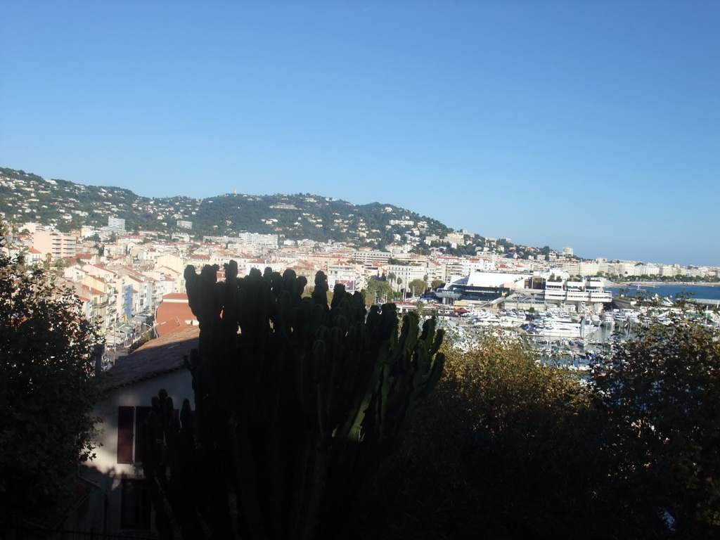 Plants, the Cannes harbour and the Palais des Festivals et des Congrès, viewed from the Place de la Castre viewing point