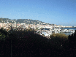 Plants, the Cannes harbour and the Palais des Festivals et des Congrès, viewed from the Place de la Castre viewing point