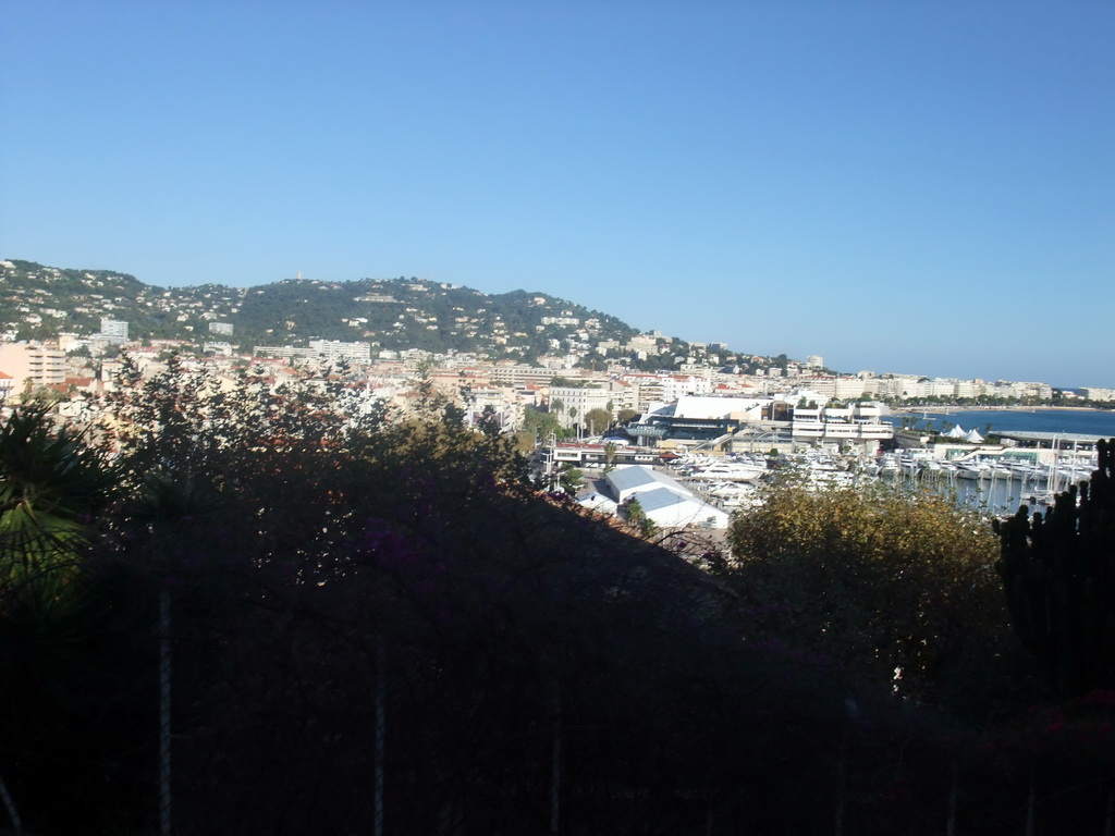 Plants, the Cannes harbour and the Palais des Festivals et des Congrès, viewed from the Place de la Castre viewing point