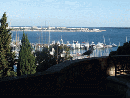 Seagull, the Cannes harbour and the Boulevard de la Croisette, viewed from the outer courtyard of the Eglise du Suquet church