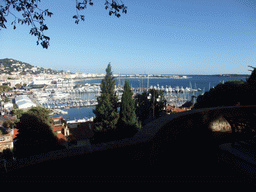 Seagull, the Cannes harbour, the Palais des Festivals et des Congrès and the Boulevard de la Croisette, viewed from the outer courtyard of the Eglise du Suquet church