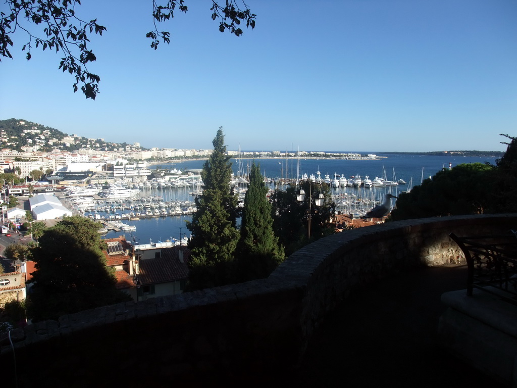 Seagull, the Cannes harbour, the Palais des Festivals et des Congrès and the Boulevard de la Croisette, viewed from the outer courtyard of the Eglise du Suquet church