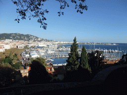 Seagull, the Cannes harbour, the Palais des Festivals et des Congrès and the Boulevard de la Croisette, viewed from the outer courtyard of the Eglise du Suquet church