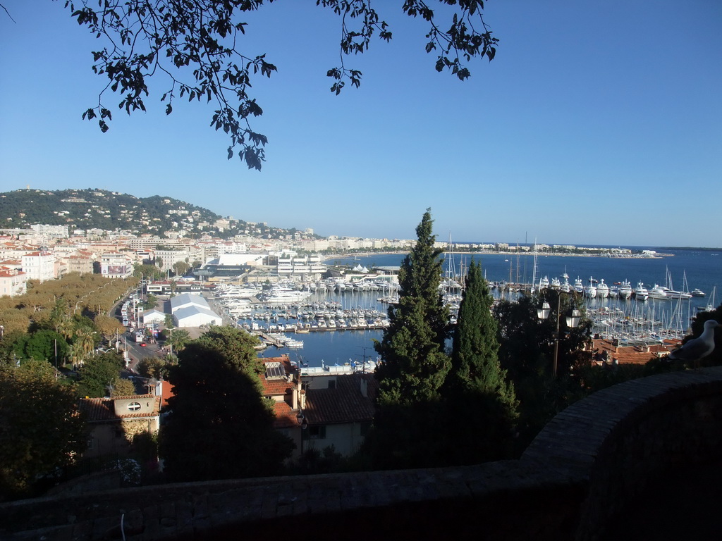 Seagull, the Cannes harbour, the Palais des Festivals et des Congrès and the Boulevard de la Croisette, viewed from the outer courtyard of the Eglise du Suquet church