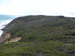 Cliffs at the coastline at the west side, viewed from the top of the Cape Otway Lighthouse