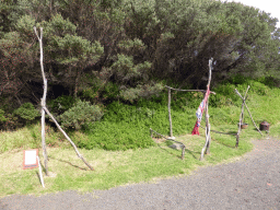 Camp of Nicolas Baudin at the Cape Otway Lighthouse site