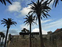 Palm trees and the north side of the wall of the Cascais Citadel at the Avenida Dom Carlos I avenue