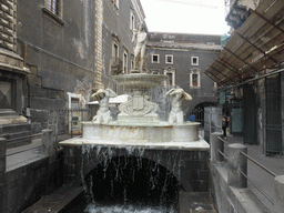 The Fontana dell`Amenano fountain at the southwest side of the Piazza del Duomo square