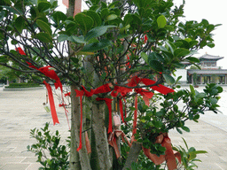 Buddhistic decorations in a tree at the central square of the Yongqing Temple