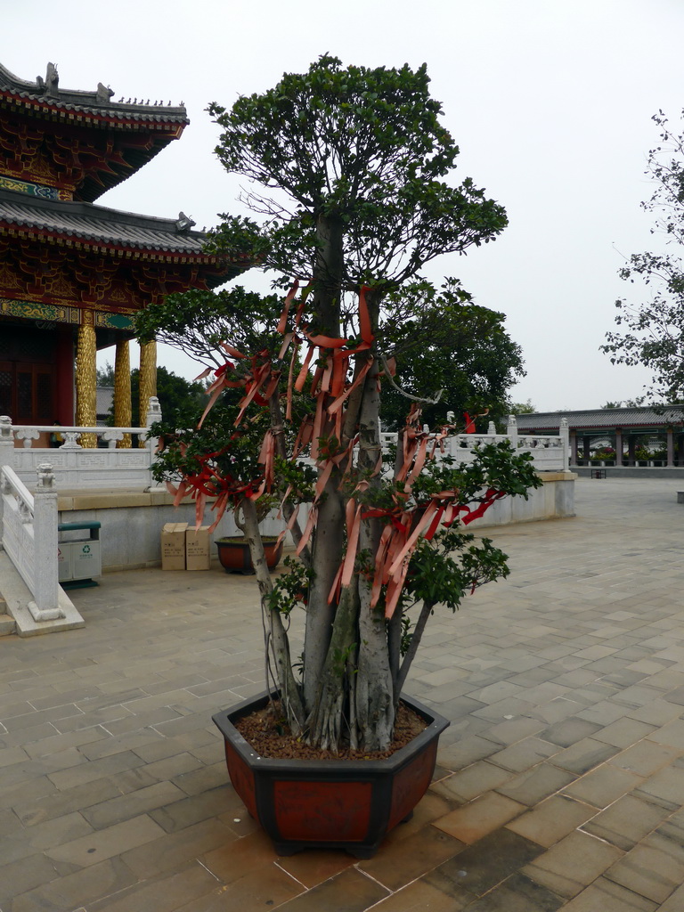 Tree with buddhistic decorations at the central square of the Yongqing Temple