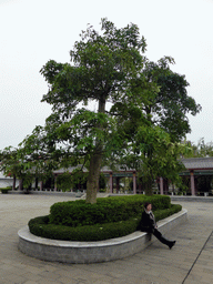 Miaomiao at a tree on the central square of the Yongqing Temple