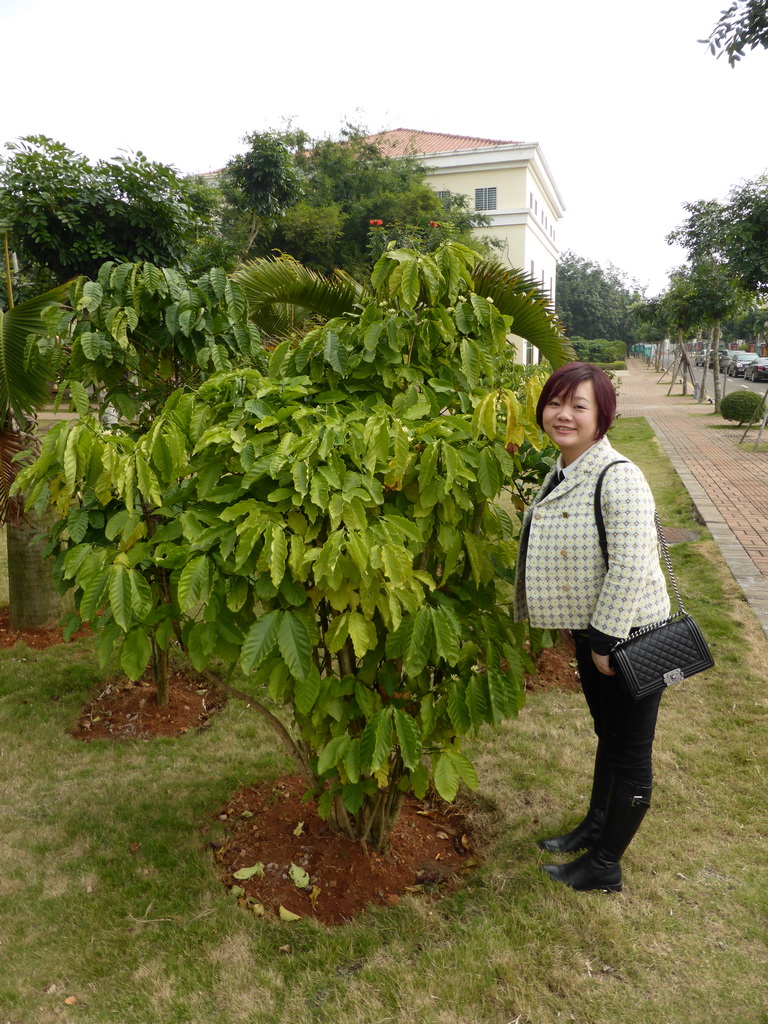 Miaomiao with a tree at the Fushan Town Center of Coffee Culture and Customs